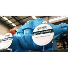 Slow Centrifugal Pump of Double-Stage and Double Suction